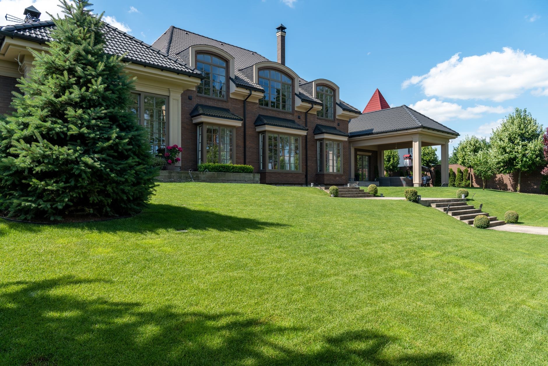 Lawn Edging and Tree Care