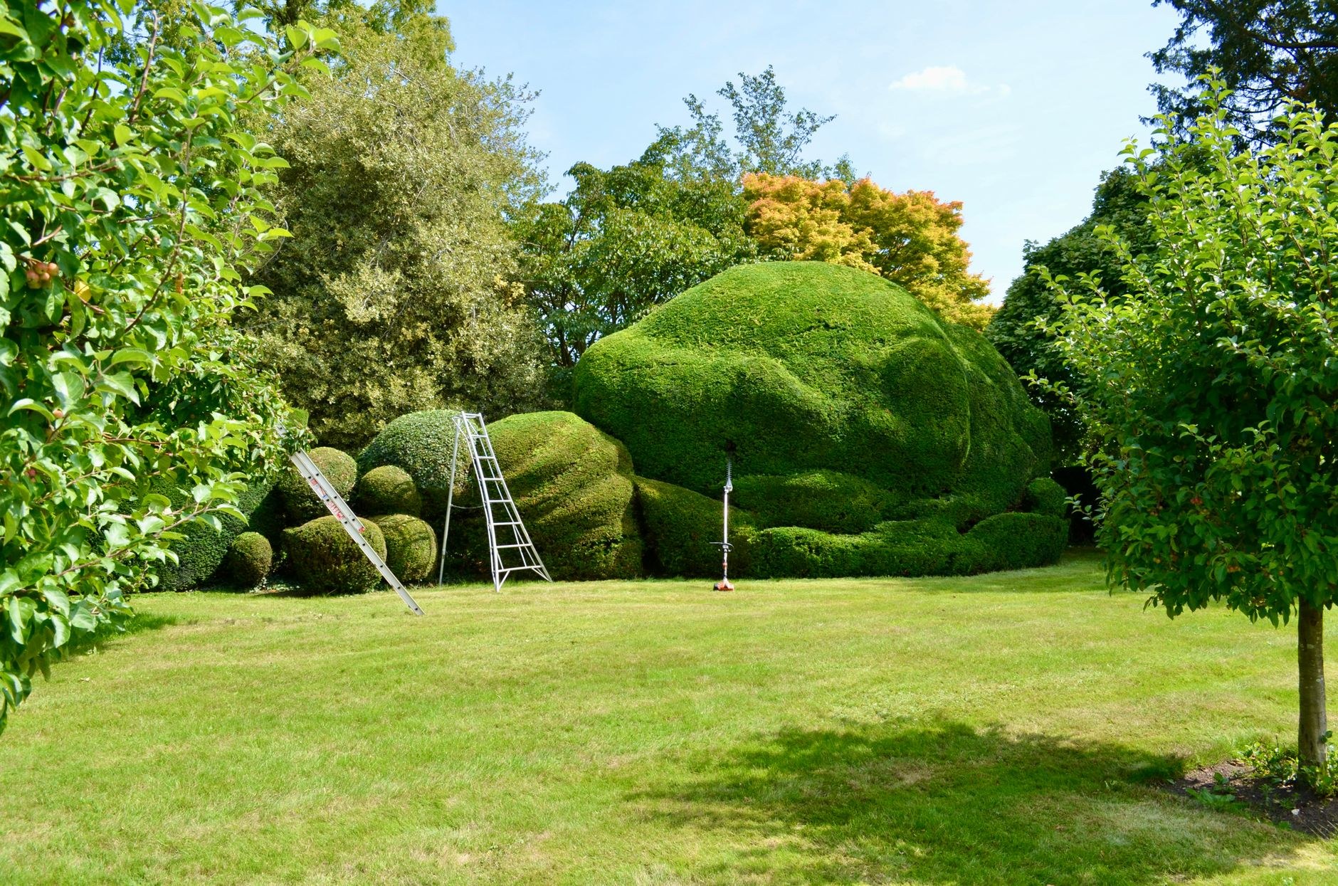 A tidy, well-kept garden of the kind Lawns and Landscapes West maintains