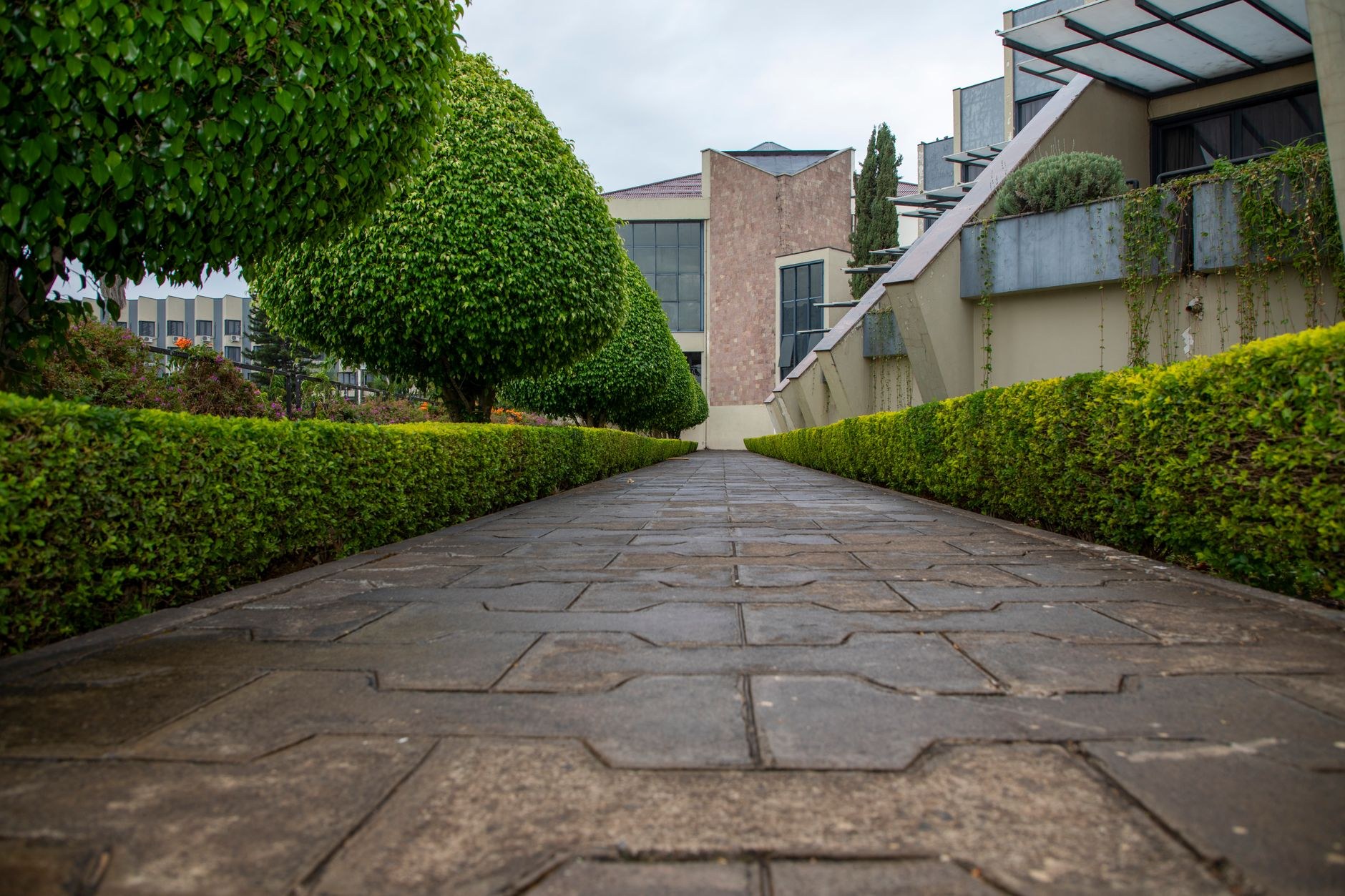 How often should you actually mow through the year?