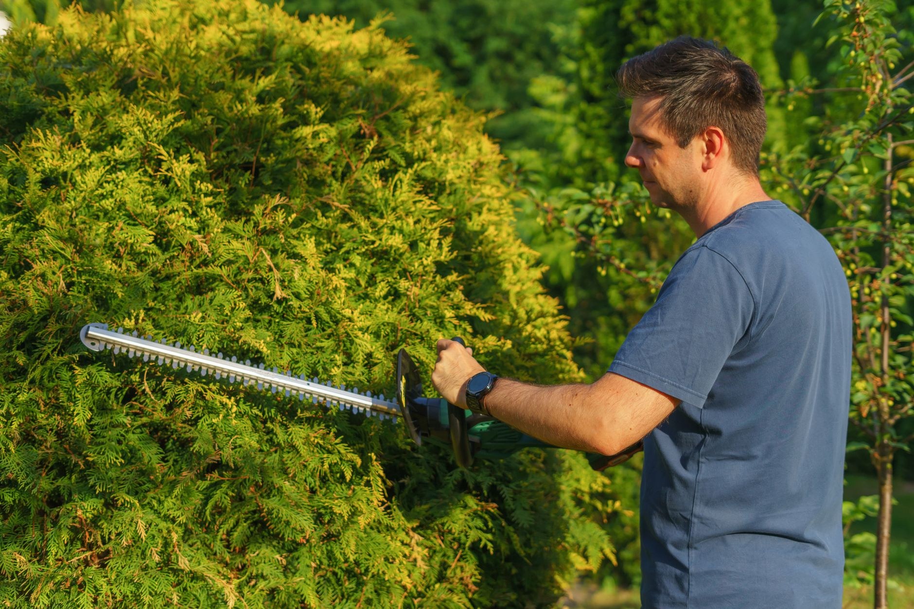 Planting for a garden that looks after itself