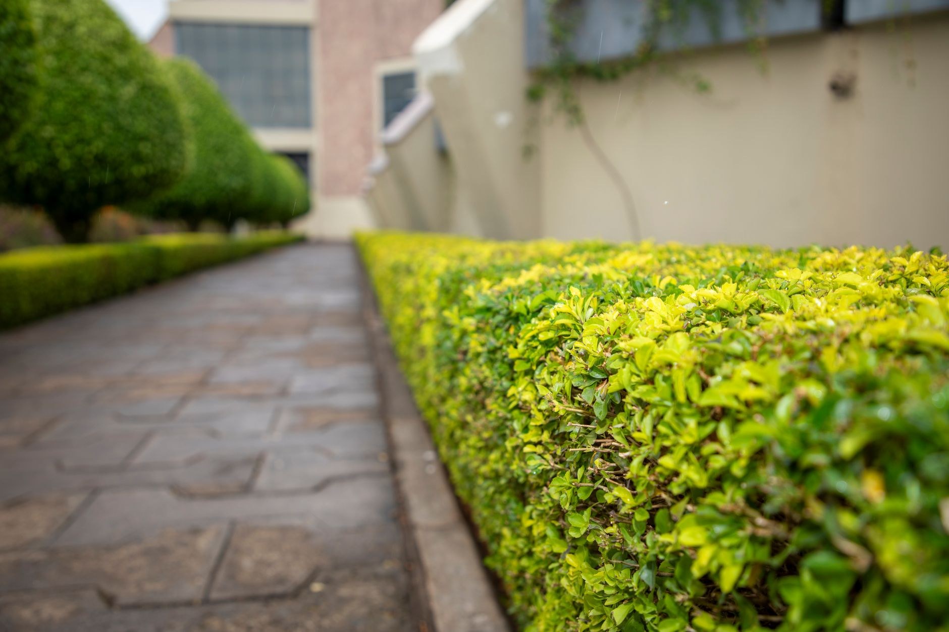 Why a hand-formed concrete lawn edge is worth it