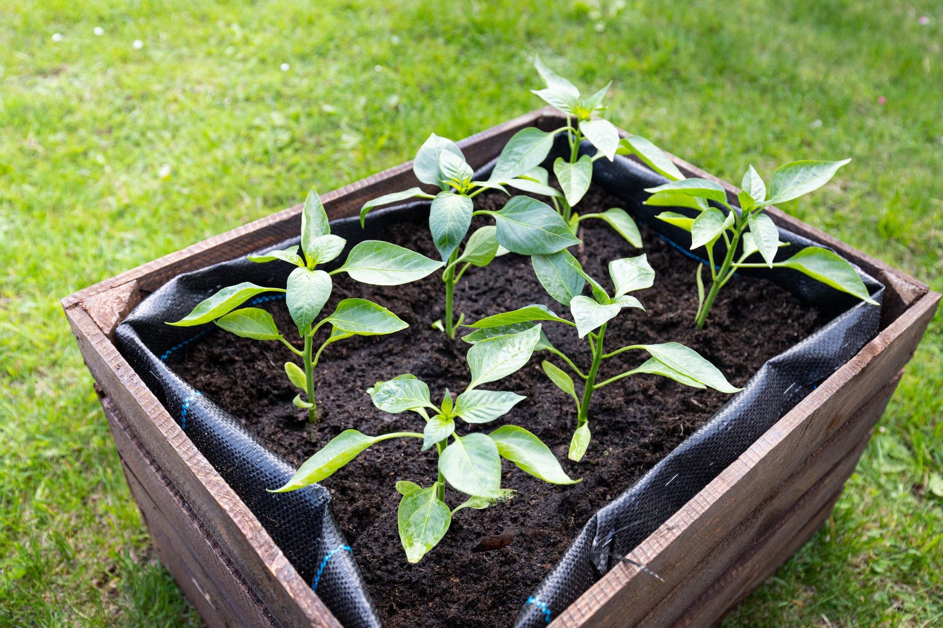 Planting and Garden Works — what is included