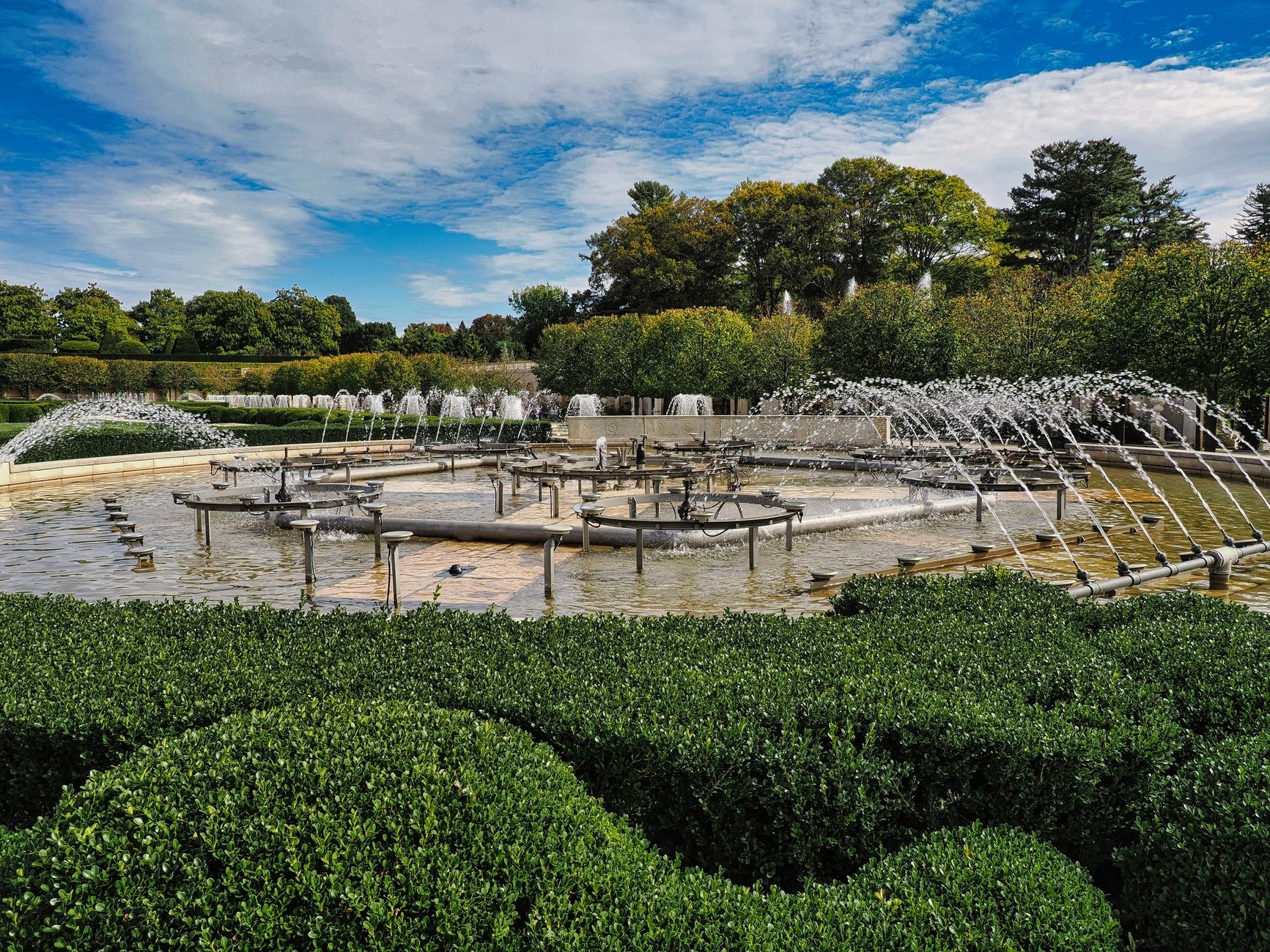 Landscape Maintenance — the payoff