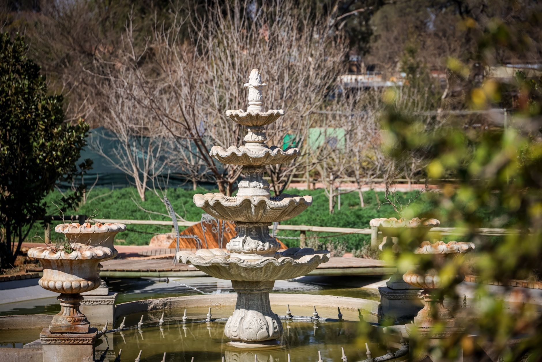 Lawn Edging and Tree Care — the payoff