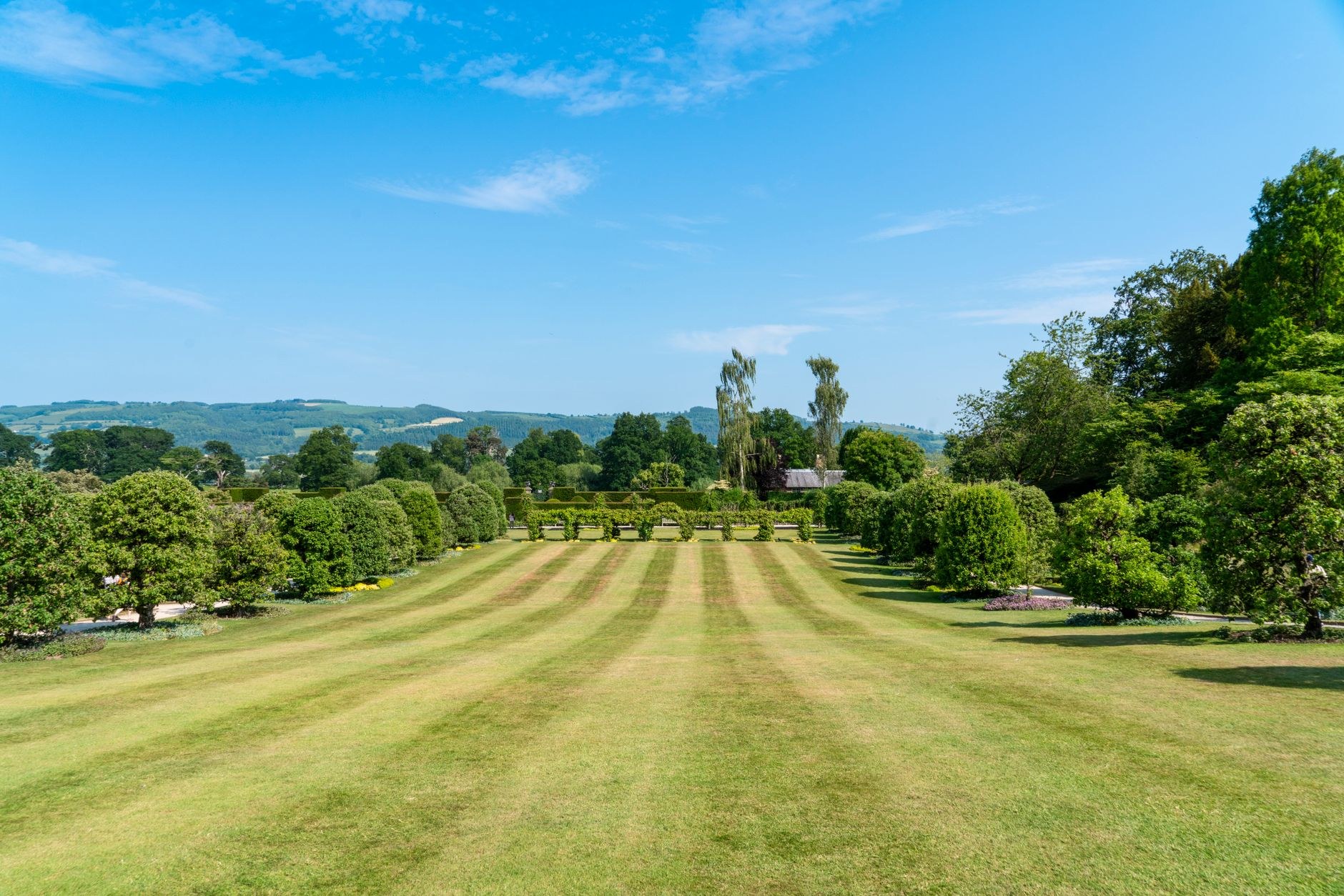 Landscape Maintenance work by Lawns and Landscapes West